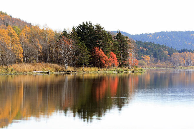 Как ухаживать за природой во время отдыха на озере Тунайча?