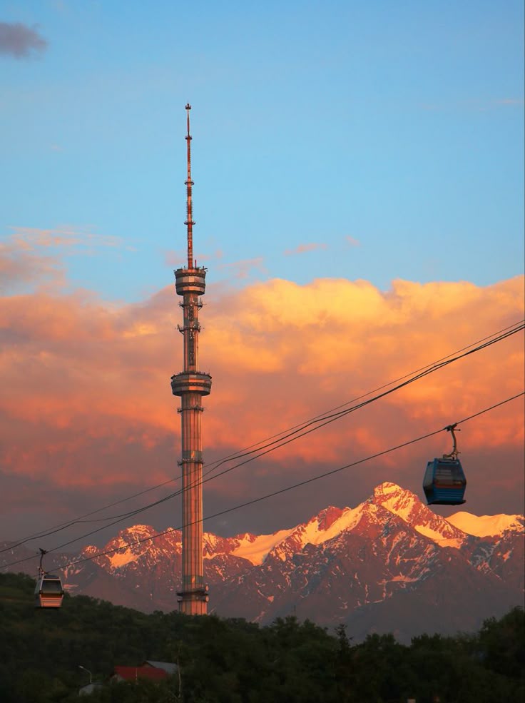 Специальные предложения