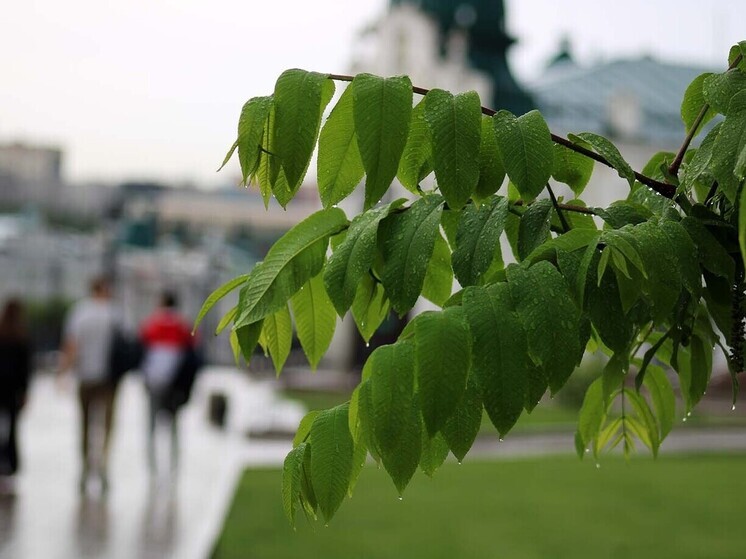 Погода при резком потеплении весной риски и сюрпризы Погода при резком потеплении весной риски и сюрпризы