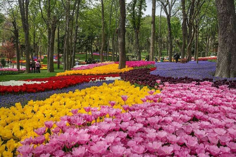 Парк Эмирган - тюльпаны и прогулки 4 Популярные маршруты для прогулок по парку Эмирган