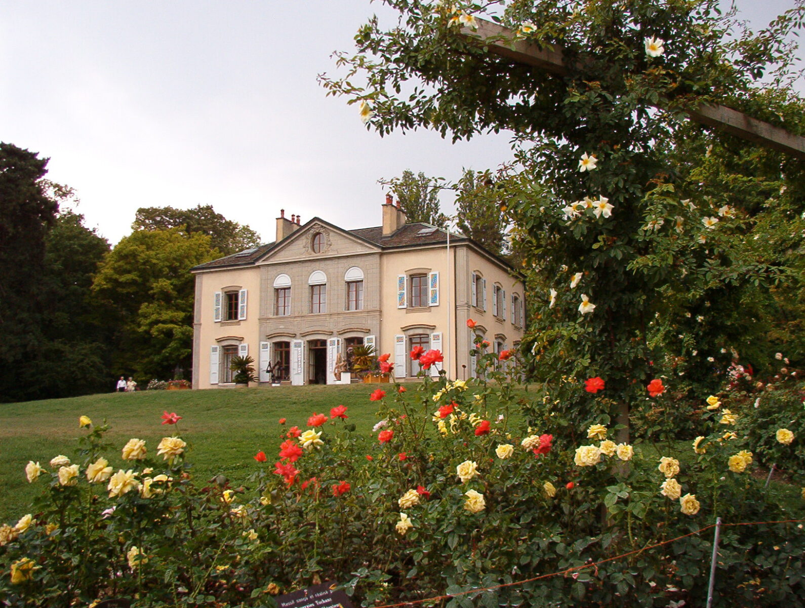 Летние яркие моменты