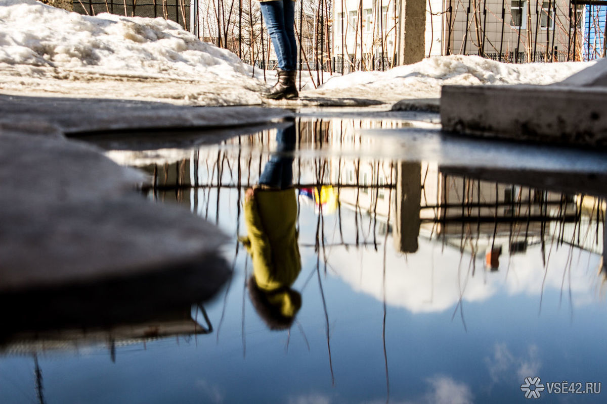 Погода при резком потеплении весной риски и сюрпризы 5 Как весна влияет на аллергию и уровень пыльцы?