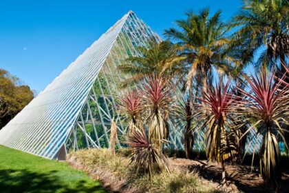 Ботанический сад в Сиднее — оазис у Оперного театра (Австралия) 10 Ботанический сад в Сиднее