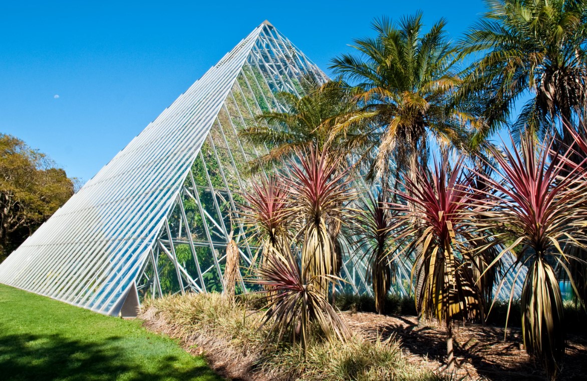 Ботанический сад в Сиднее — оазис у Оперного театра (Австралия) 1 Ботанический сад в Сиднее
