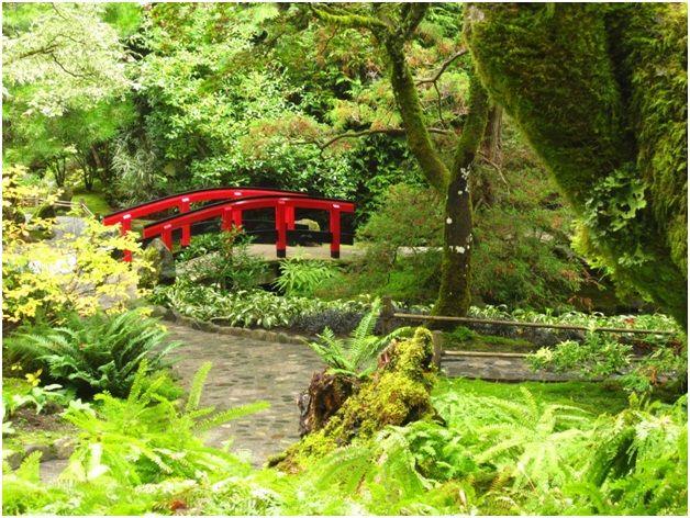 История создания сада Бутчарт