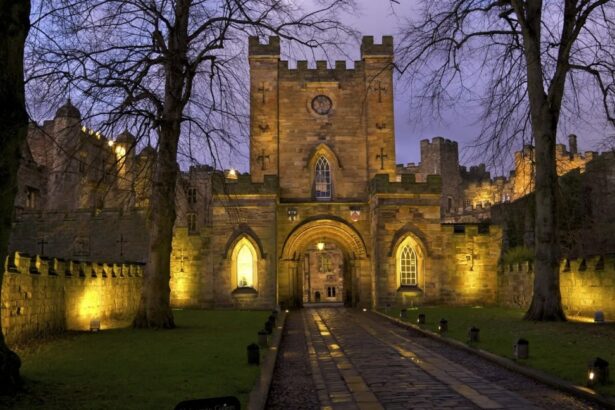 Даремский университет