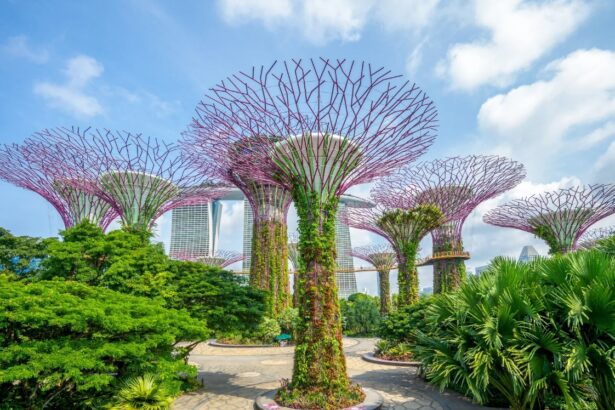 Цветочный рай Gardens by the Bay в Сингапуре