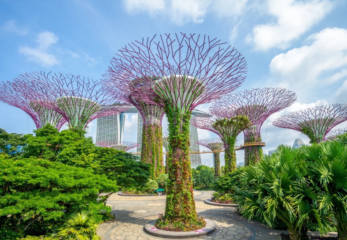 Цветочный рай Gardens by the Bay в Сингапуре