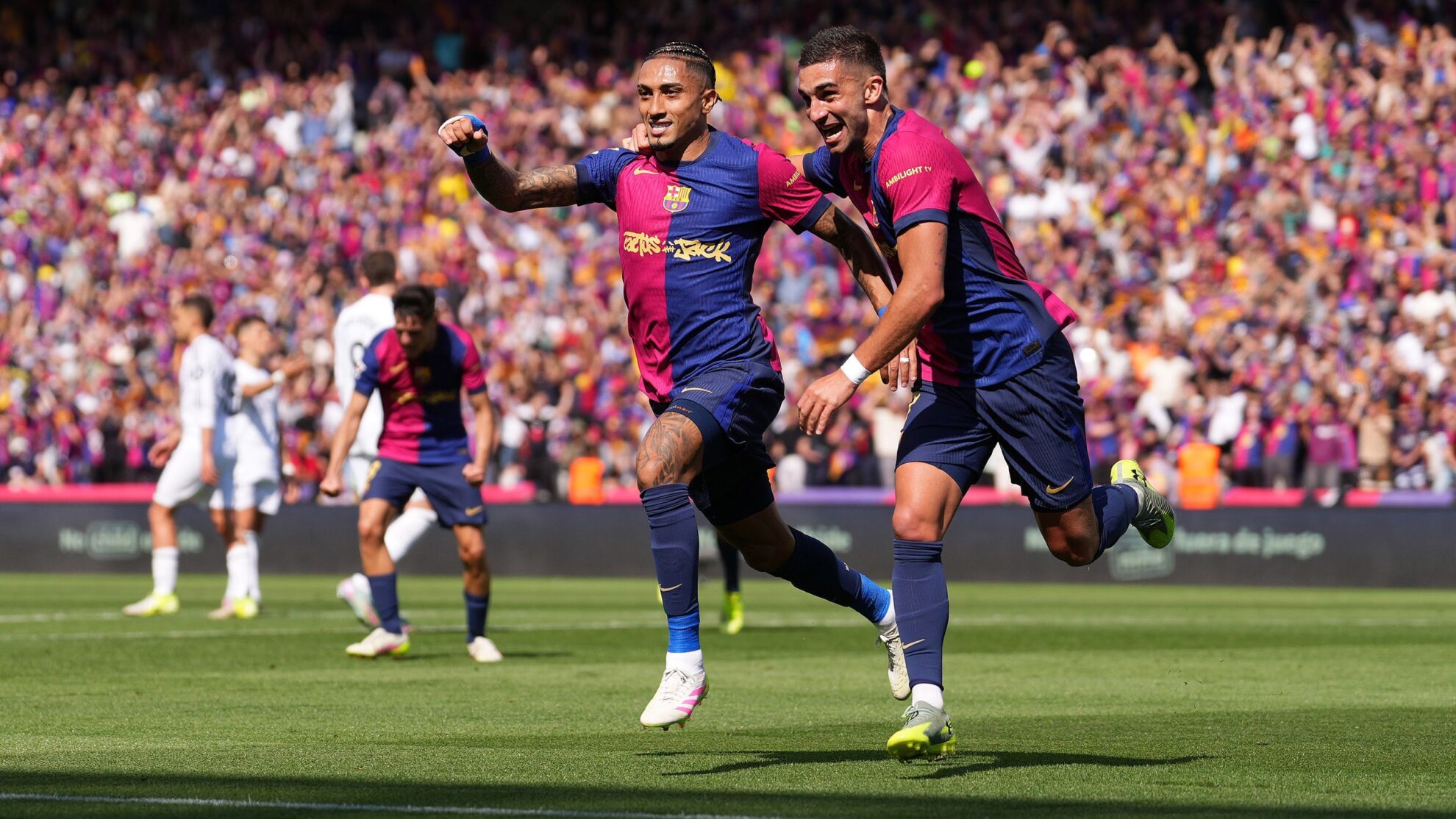 Экологические проекты в Мадриде: шаги к устойчивому развитию