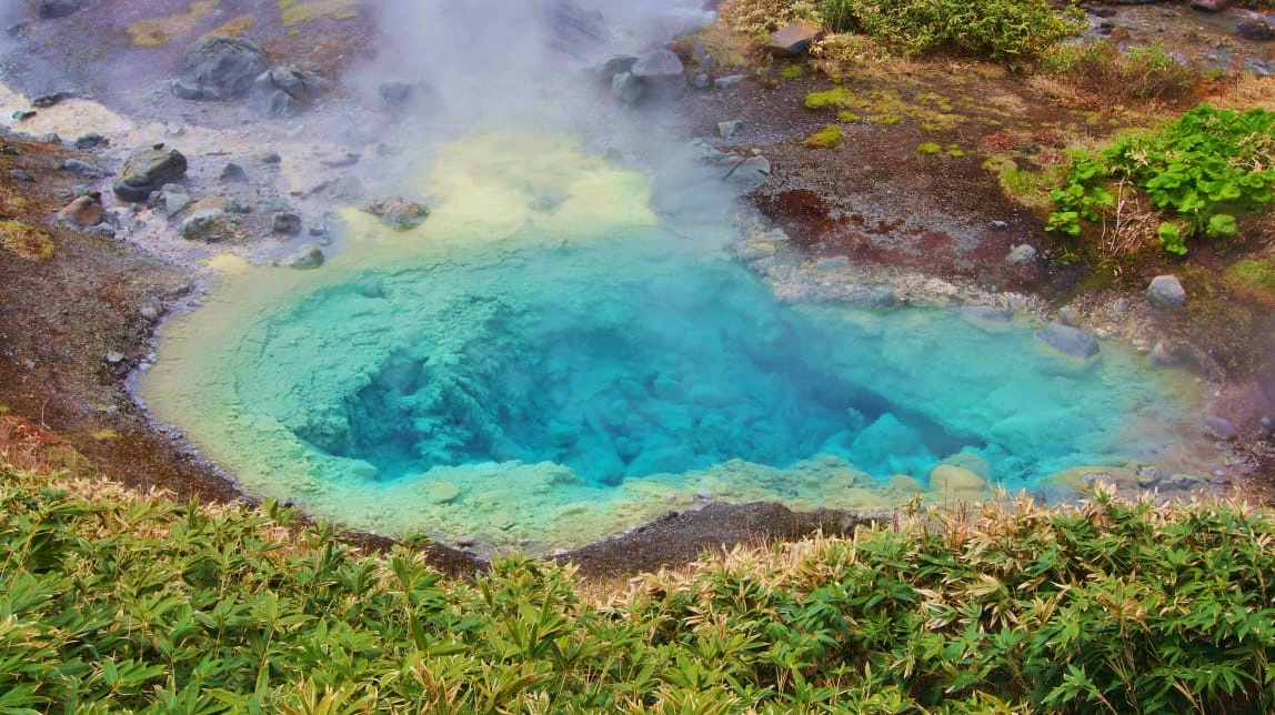 Остров Кунашир (Курилы) — вулканы, горячие источники, природа 8 Питание на острове: где попробовать местные блюда