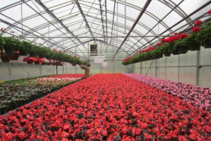 Как правильно вносить удобрения — пошагово 5 Как правильно вносить удобрения — пошагово