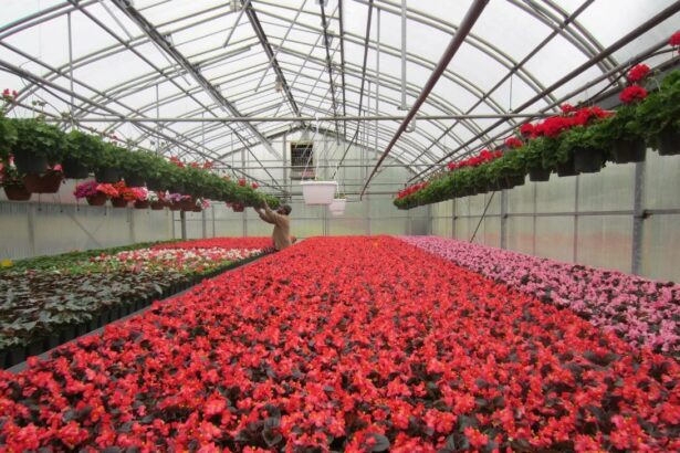 Как правильно вносить удобрения &mdash; пошагово