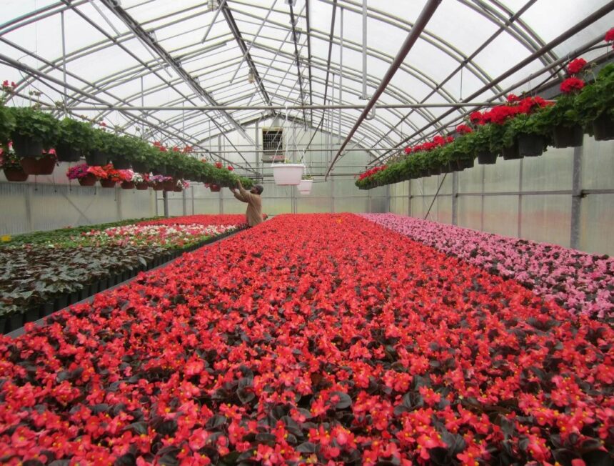 Как правильно вносить удобрения — пошагово