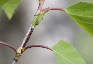 Как выбрать удобрение под тип почвы