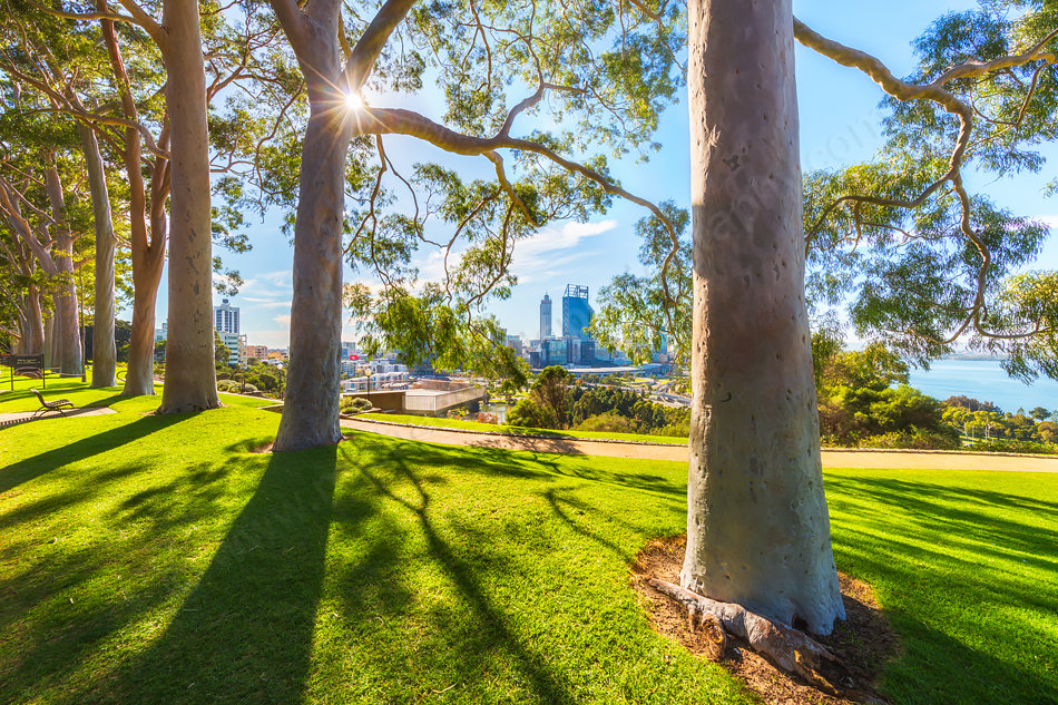 Игра с ракурсами