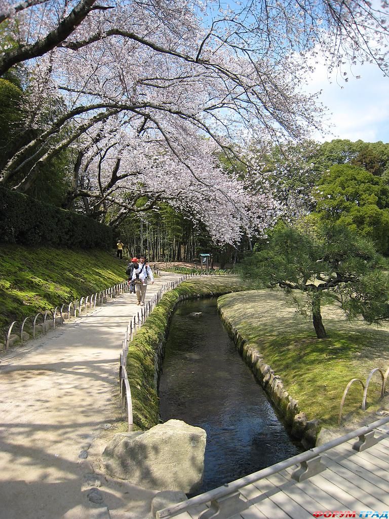 Сад Кёракуэн - жемчужина Окаямы 4 Зелёные террасы