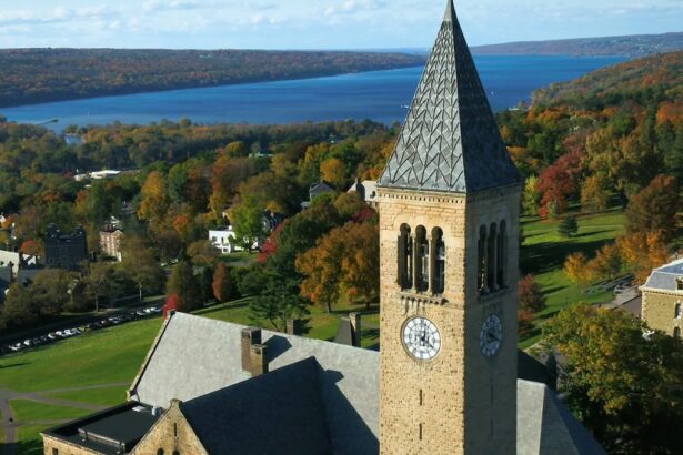 Корнеллский университет