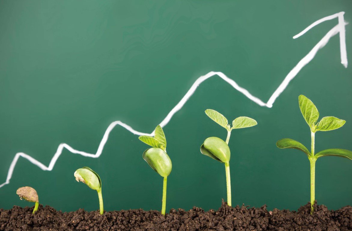 Микроэлементы - зачем нужны бор, цинк, магний