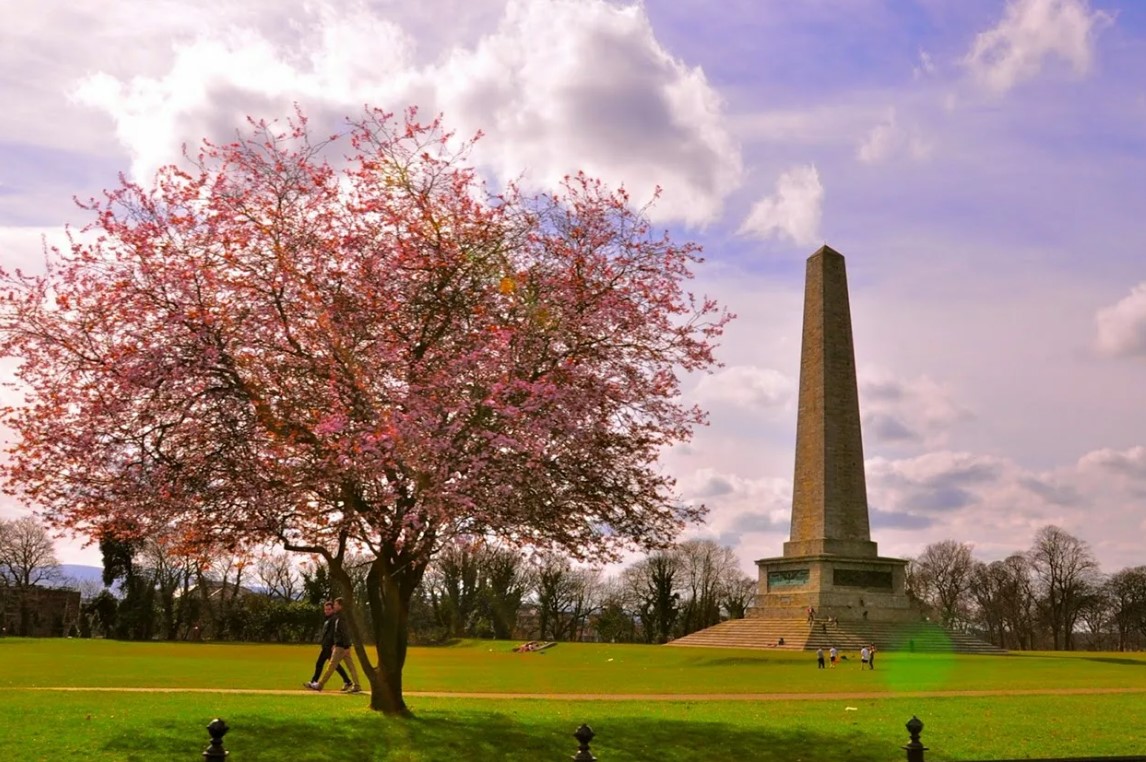 Парк Феникс в Дублине — самый большой в Европе 1 Парк Феникс в Дублине — самый большой в Европе
