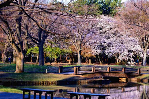 парк Йойоги