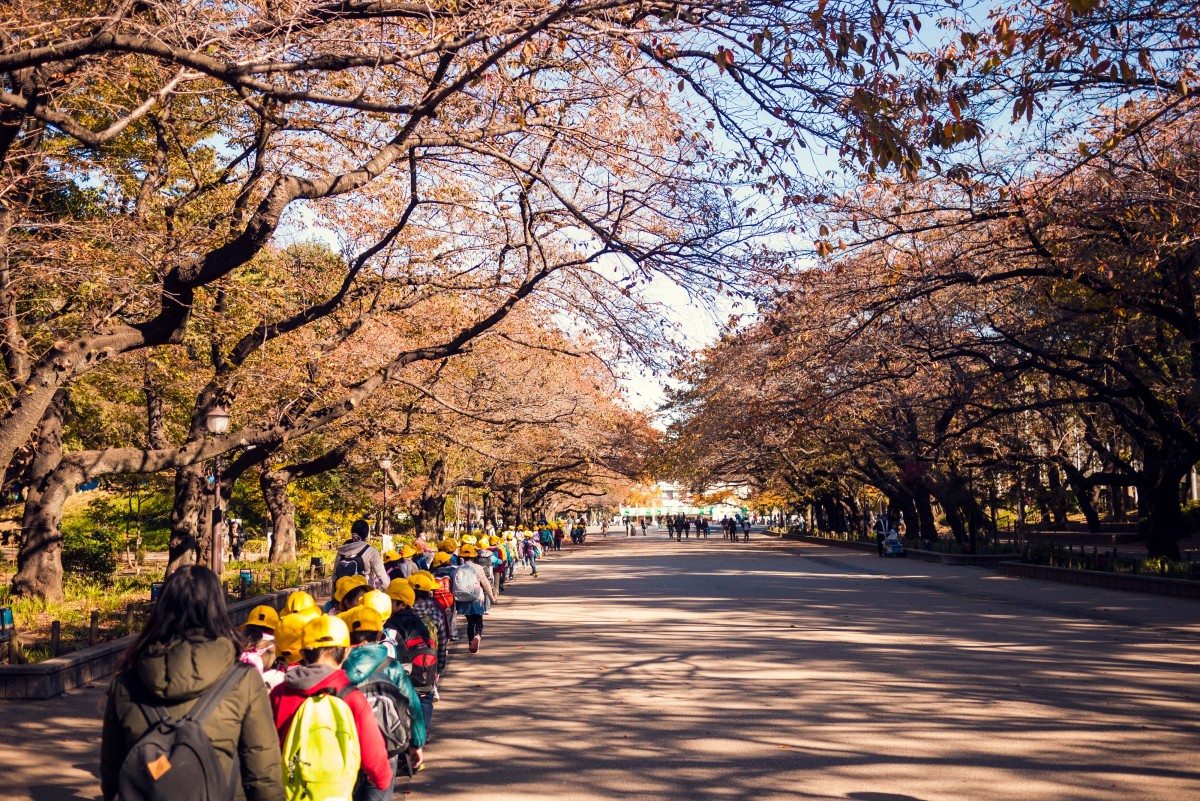 Время пикника под золотыми деревьями