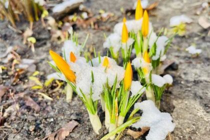 Погода при резком потеплении весной риски и сюрпризы 11 Погода при резком потеплении весной риски и сюрпризы