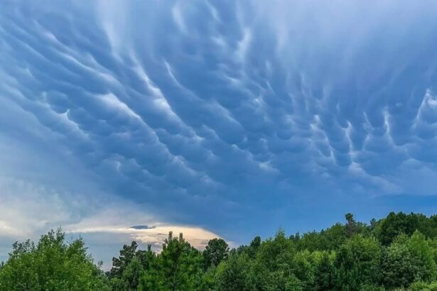 Погода с облаками мамматус как предвестники бури