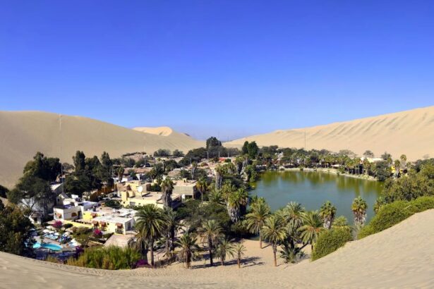 Погода в пустыне как возникают оазисы