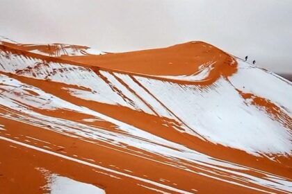 Погода в Сахаре снег среди песков редкое явление