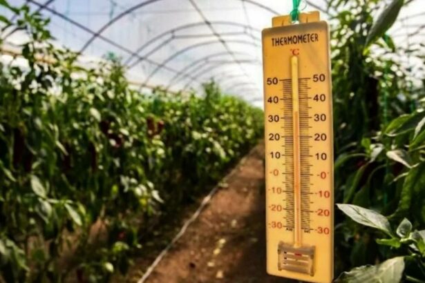 Погода в условиях высокой влажности почему так душно