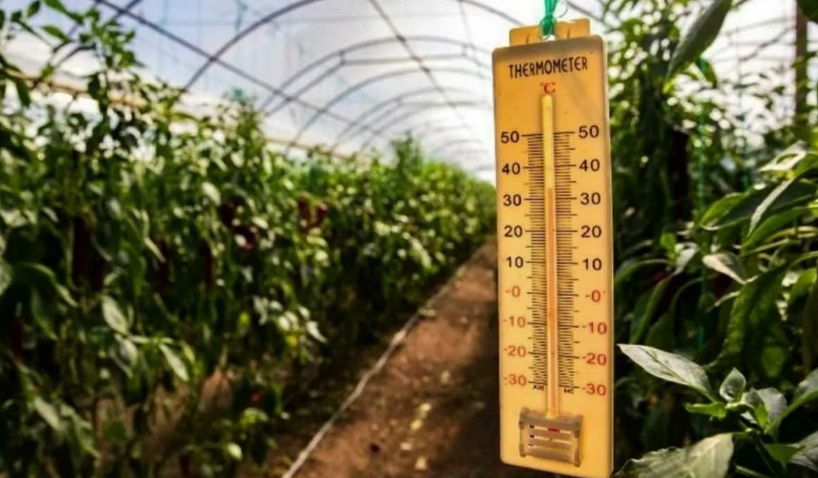 Погода в условиях высокой влажности почему так душно