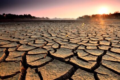 Погода в засушливых регионах как выживает природа