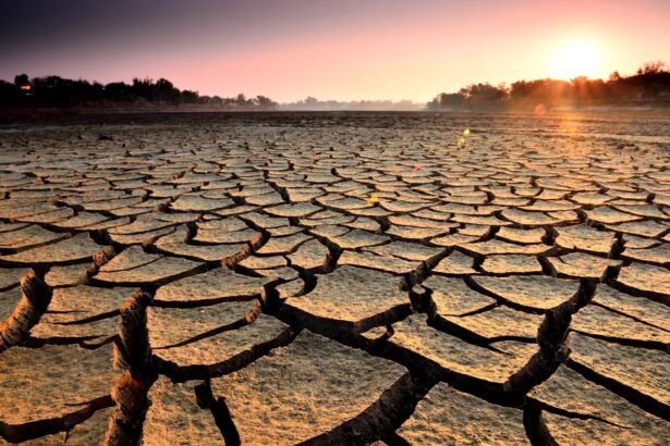 Погода в засушливых регионах как выживает природа