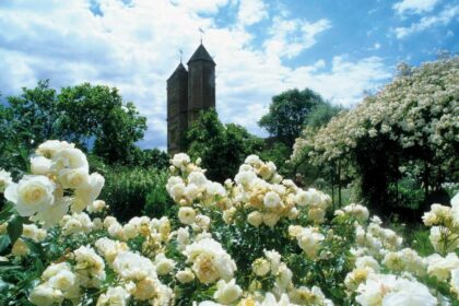 Розовый сад Сисингхерст