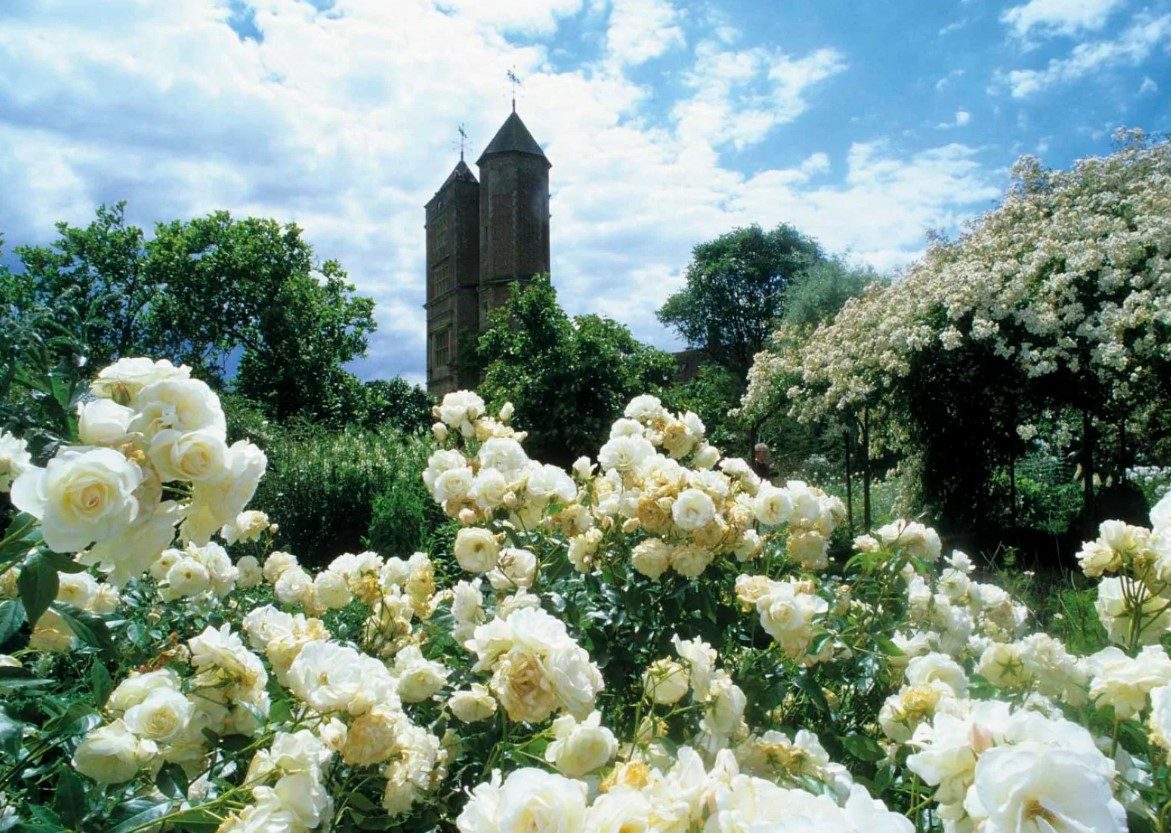 Розовый сад Сисингхерст — аромат Англии (Кент) 1 Розовый сад Сисингхерст