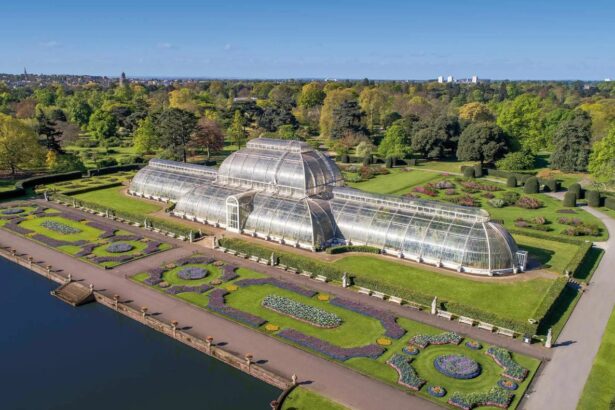 Сады Кью в Лондоне — ботаническая энциклопедия (Великобритания)