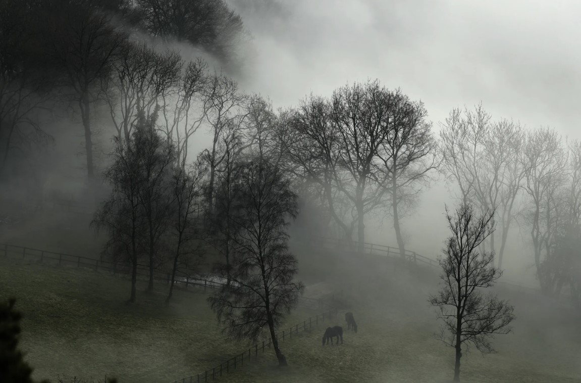 Погода в тумане как влияет на транспорт и здоровье