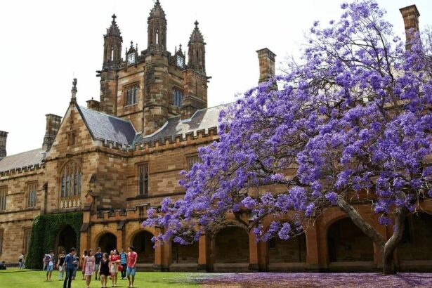 Сиднейский университет