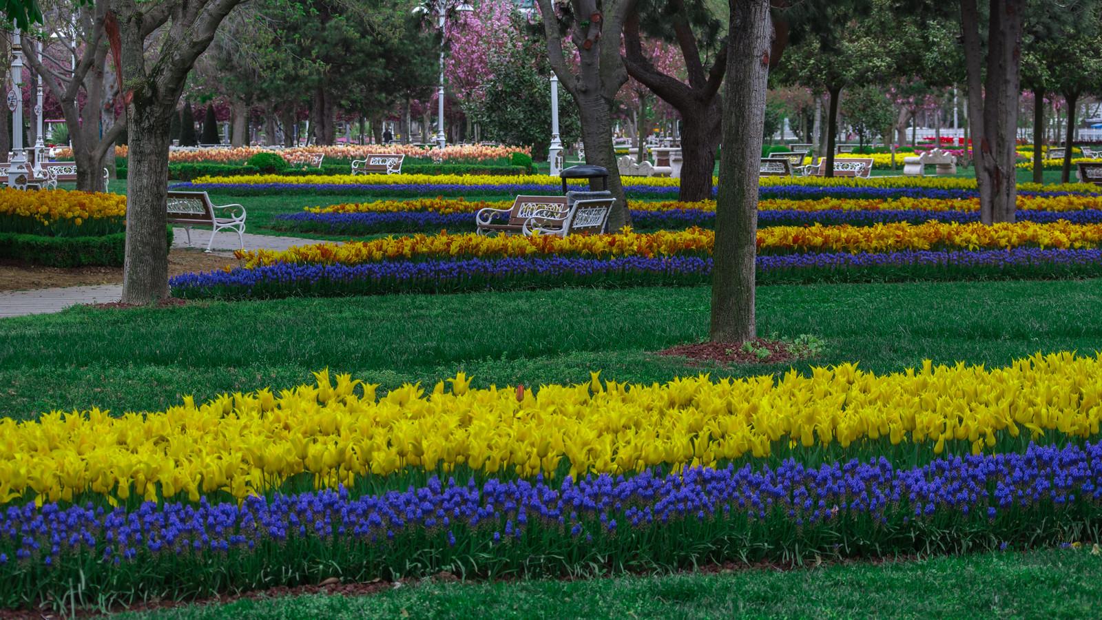 Выставка местных художников