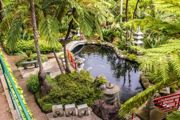 Тропики в саду Монбаль в Картахене