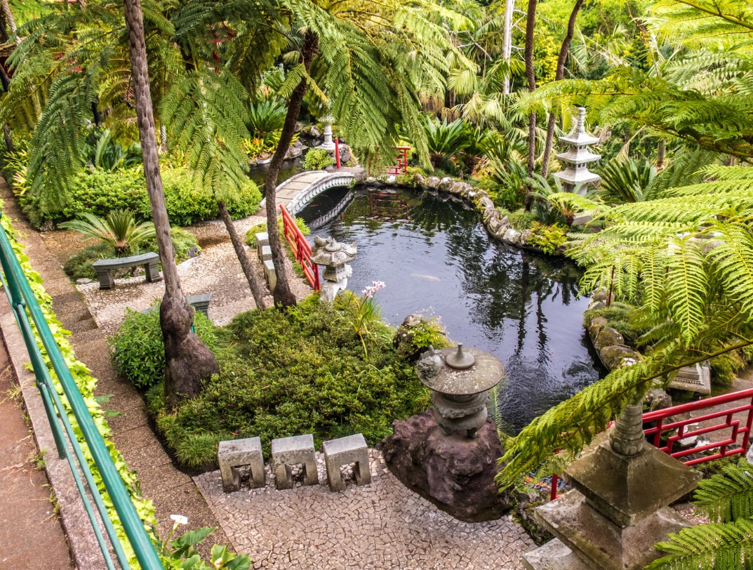 Тропики в саду Монбаль в Картахене (Колумбия) 1 Тропики в саду Монбаль в Картахене