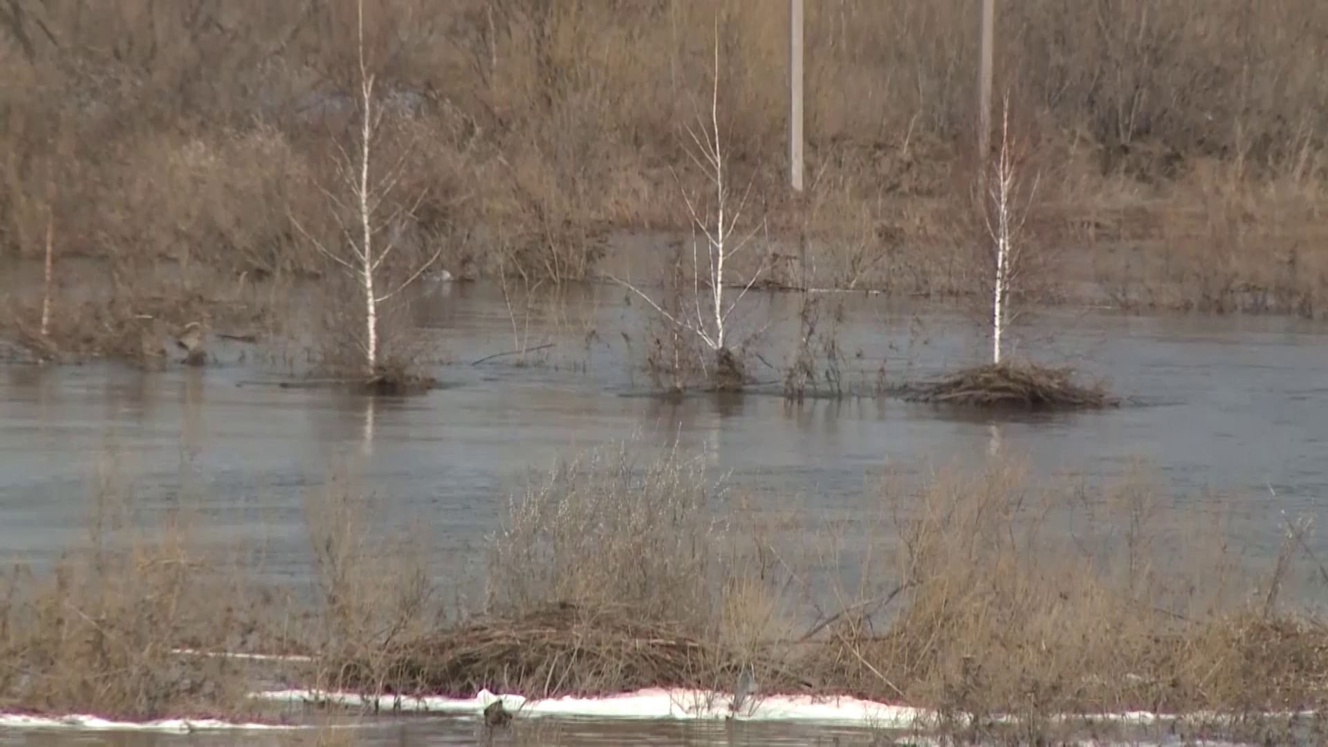 Погода при резком потеплении весной риски и сюрпризы 6 Уход за шерстью и кожей