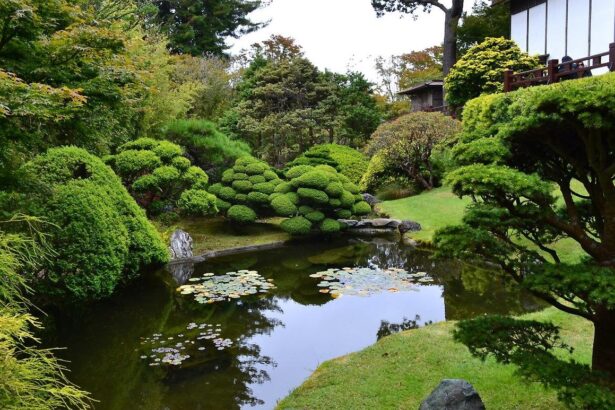 Японский чайный сад в Сан-Франциско