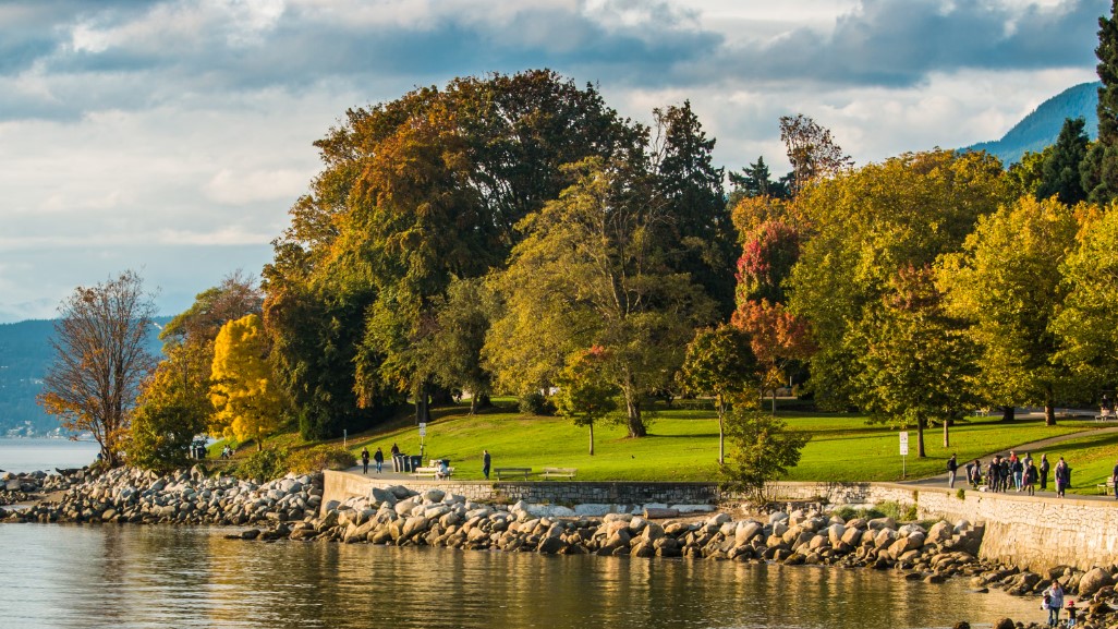 Зеленая мощь парка Станли в Ванкувере