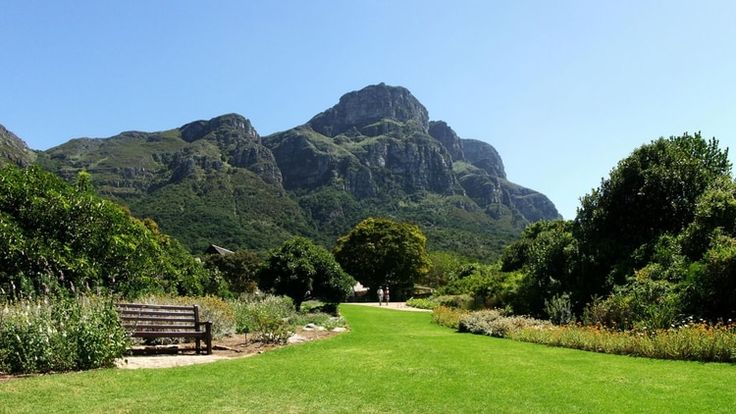 Правила поведения и рекомендации для посетителей