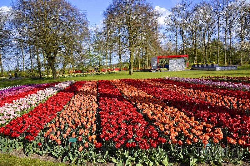 Тайны Кекенхофа — королевство тюльпанов в Лиссе (Нидерланды) 6 Экскурсии с гидом