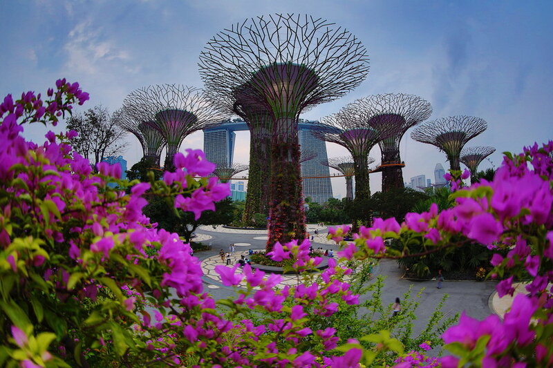 Десерты и сладости