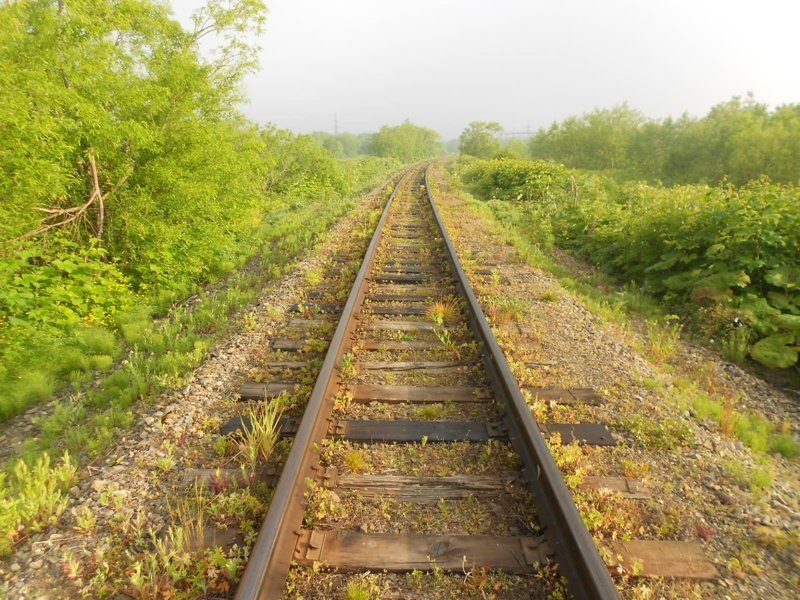 Сахалинская железная дорога — уникальная узкоколейка 5 Туристические маршруты на узкоколейке