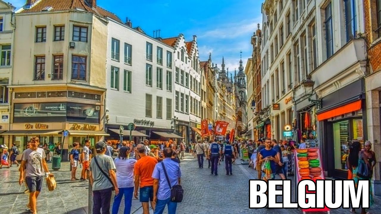 Le Soir — франкоязычная хроника Брюсселя, Бельгия 4 Целевая аудитория Le Soir