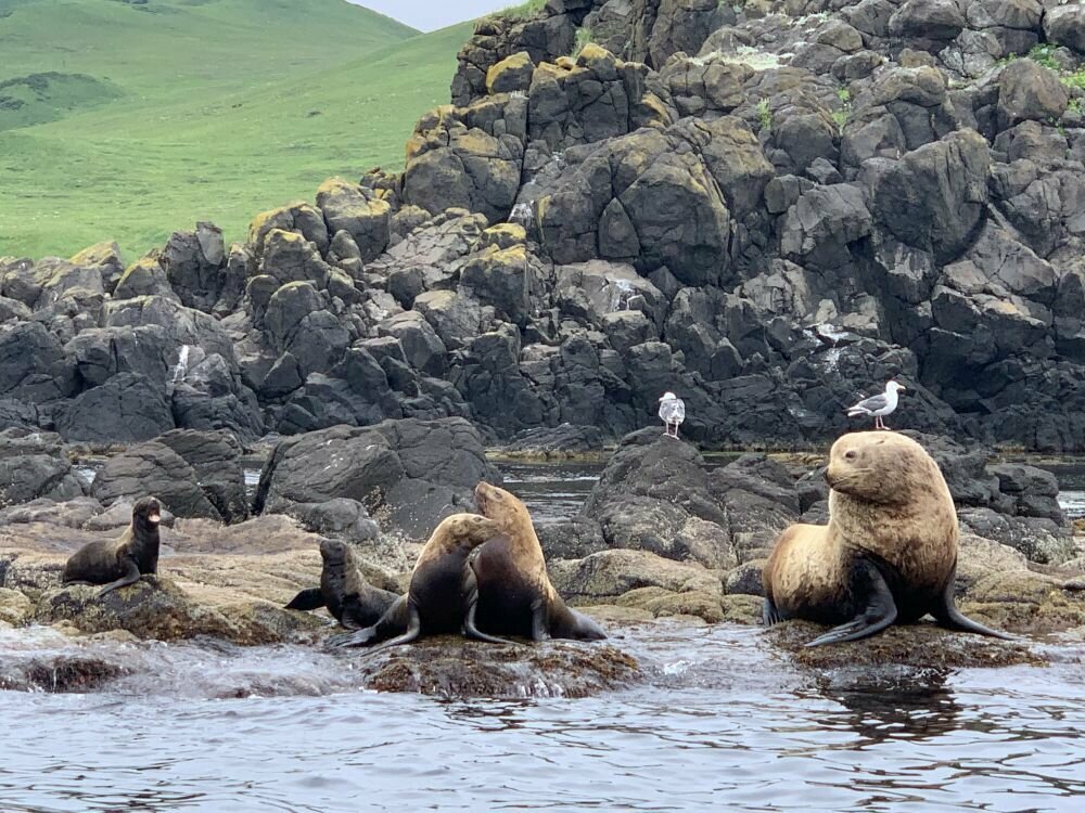 Отзывы дайверов о погружениях на острове Монерон